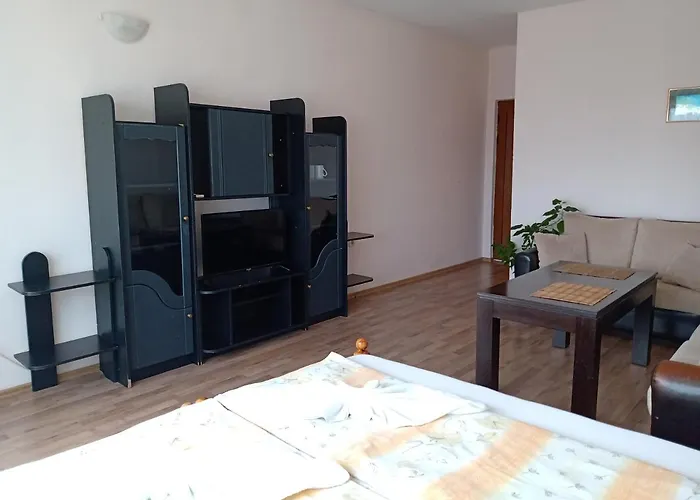 钻石旅馆 索佐波尔