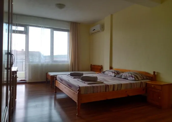 钻石旅馆 2* 索佐波尔