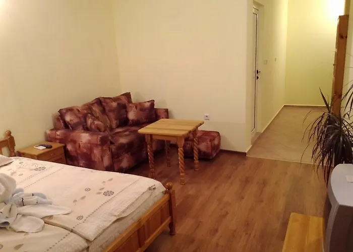 钻石旅馆 招待所 索佐波尔